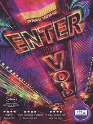Enter the void cover image