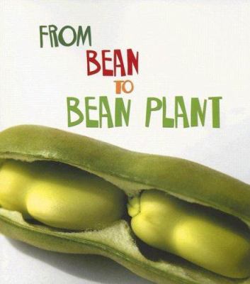 From bean to bean plant cover image