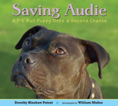 Saving Audie : a pit bull puppy gets a second chance cover image