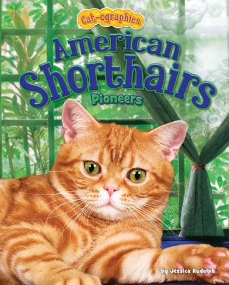 American shorthairs : pioneers cover image