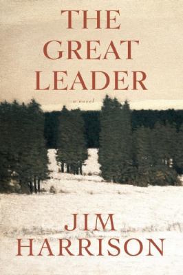 The great leader : a faux mystery cover image