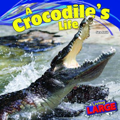 A crocodile's life cover image