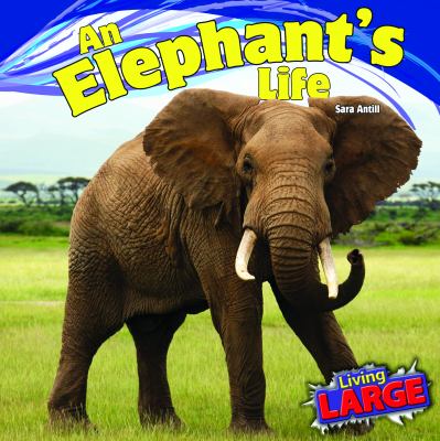 An elephant's life cover image