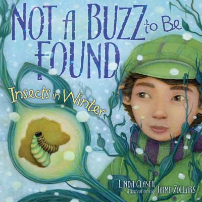 Not a buzz to be found : insects in winter cover image