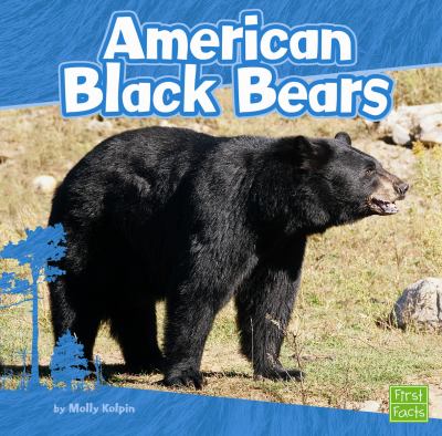 American black bears cover image