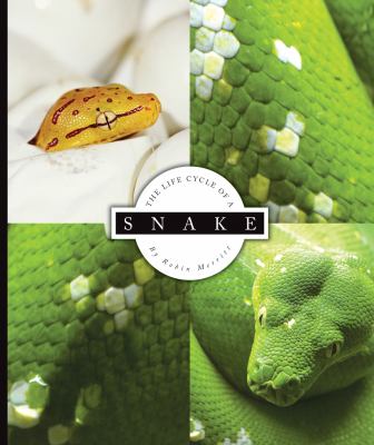 The life cycle of a snake cover image