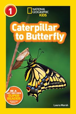 Caterpillar to butterfly cover image