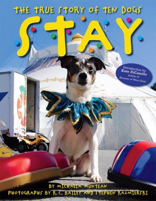 Stay : the true story of ten dogs cover image