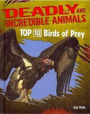 Top ten birds of prey cover image