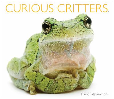 Curious critters cover image