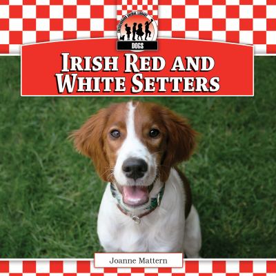 Irish red and white setters cover image