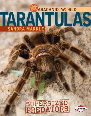 Tarantulas : supersized predators cover image