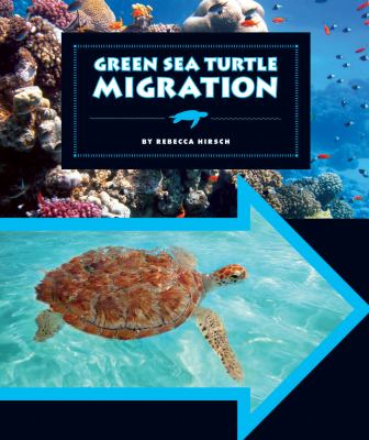 Green sea turtle migration cover image