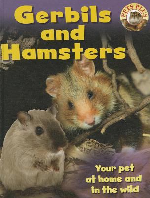 Gerbils and hamsters cover image