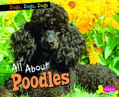 All about poodles cover image