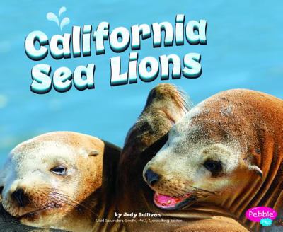 California sea lions cover image