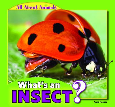 What's an insect? cover image