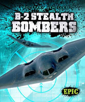 B-2 stealth bombers cover image