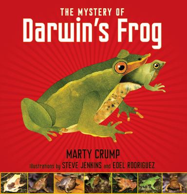 The mystery of Darwin's frog cover image