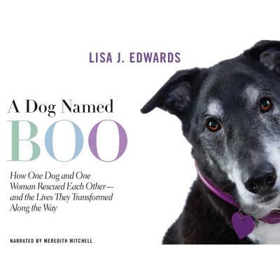 A dog named Boo how one dog and one woman rescued each other- and the lives they transformed along the way cover image