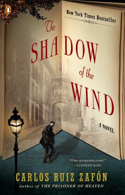 The shadow of the wind cover image