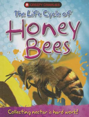 The life cycle of honey bees cover image