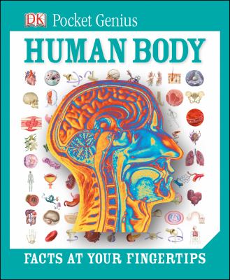 Human body : facts at your fingertips cover image