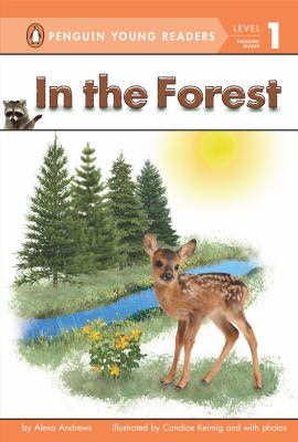 In the forest cover image
