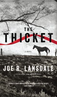 The thicket cover image