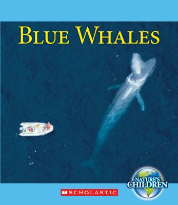 Blue whales cover image