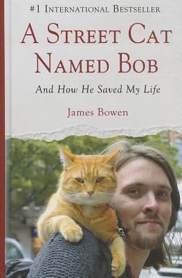 A street cat named Bob and how he saved my life cover image