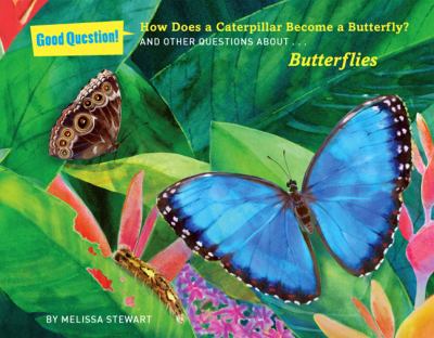 How does a caterpillar become a butterfly? : and other questions about butterflies cover image