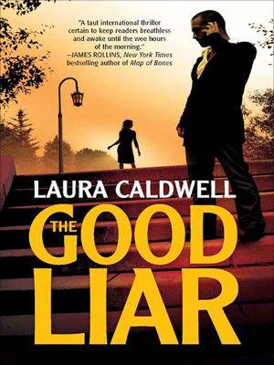 The good liar cover image