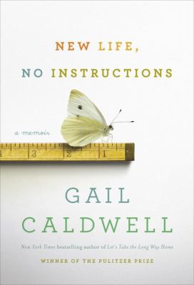 New life, no instructions : a memoir cover image