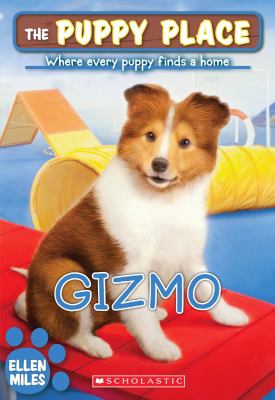 Gizmo cover image
