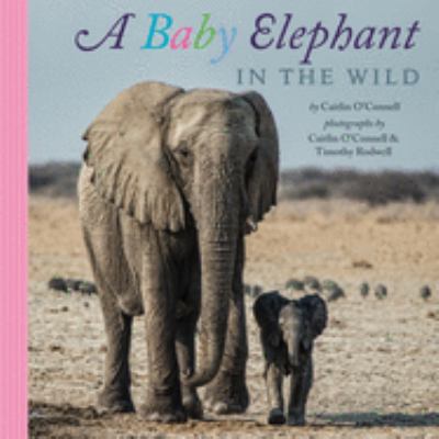 A baby elephant in the wild cover image
