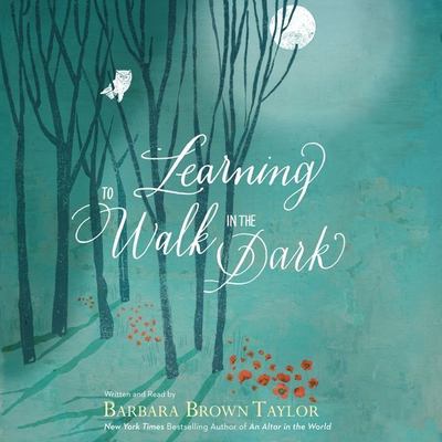 Learning to walk in the dark cover image
