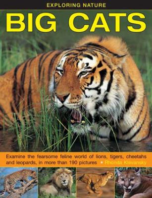 Big cats : examine the fearsome feline world of lions, tigers, cheetahs and leopards, in more than 190 pictures cover image