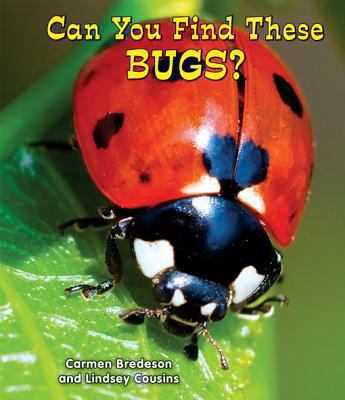 Can you find these bugs? cover image