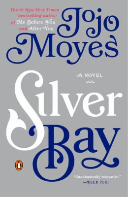 Silver Bay cover image