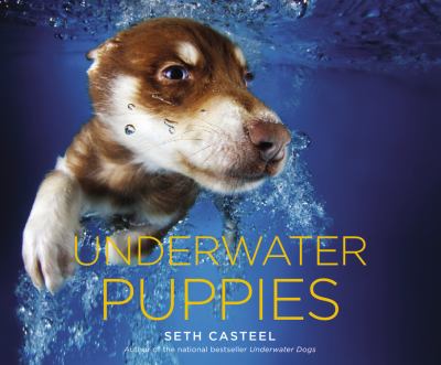 Underwater puppies cover image
