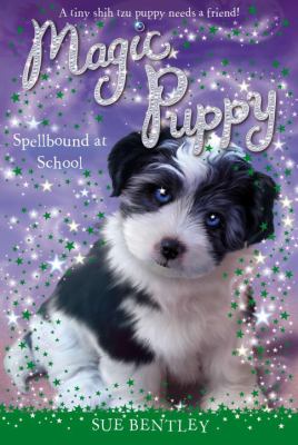 Spellbound at school cover image
