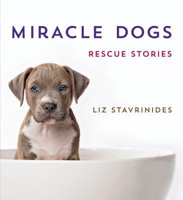 Miracle dogs : rescue stories cover image