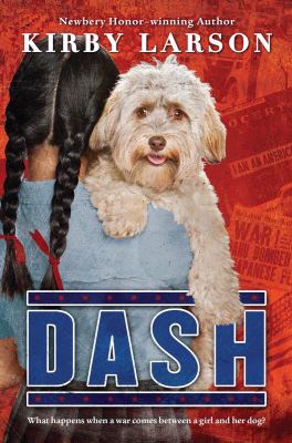 Dash cover image