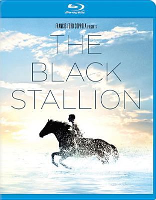 The black stallion cover image
