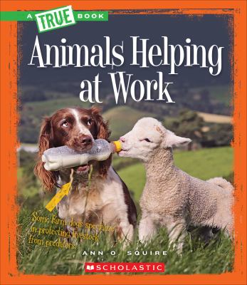 Animals helping at work cover image