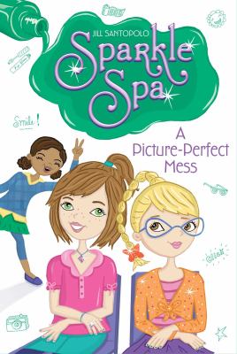 A picture-perfect mess cover image