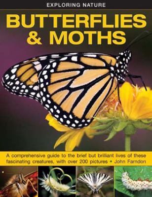 Butterflies and moths cover image