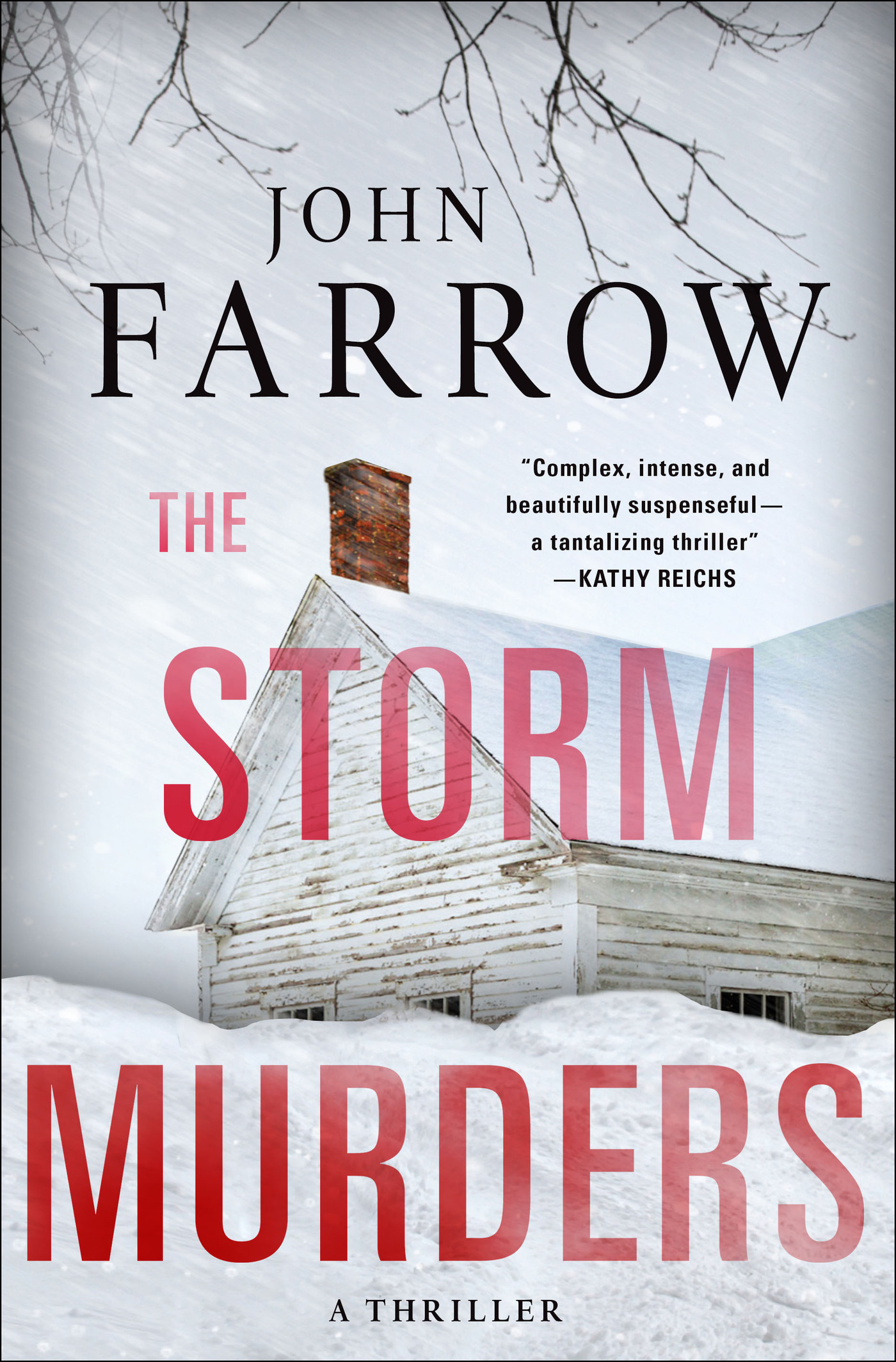 The storm murders cover image
