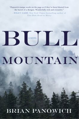 Bull Mountain cover image